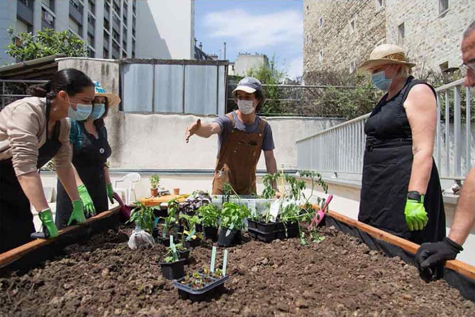 potager de l'agence Couronnes