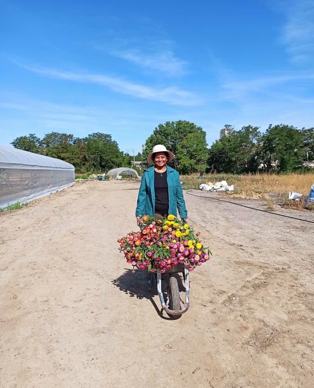 Halage fondation paris habitat brouette fleurs