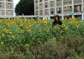 Face au réchauffement climatique, Paris Habitat s’engage pour la transition énergétique et environnementale