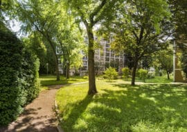 Entretien des espaces verts : limiter l’intervention humaine pour favoriser la biodiversité