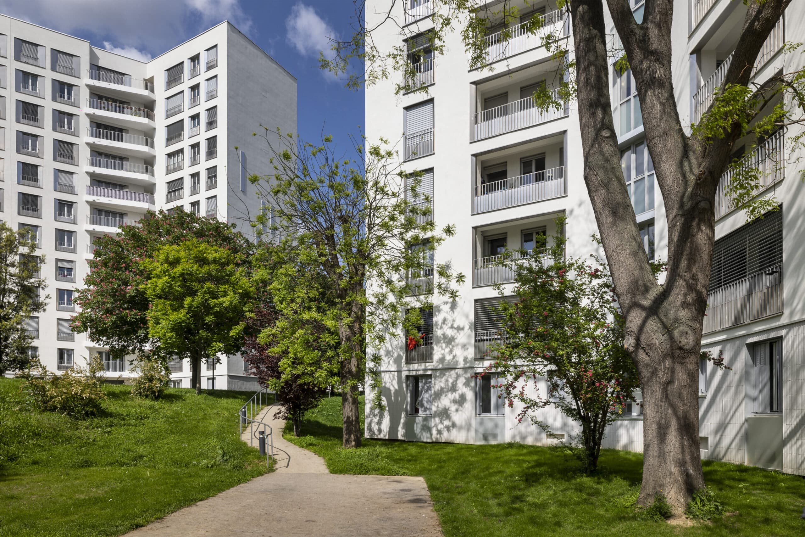 Contenot Decaen scaled