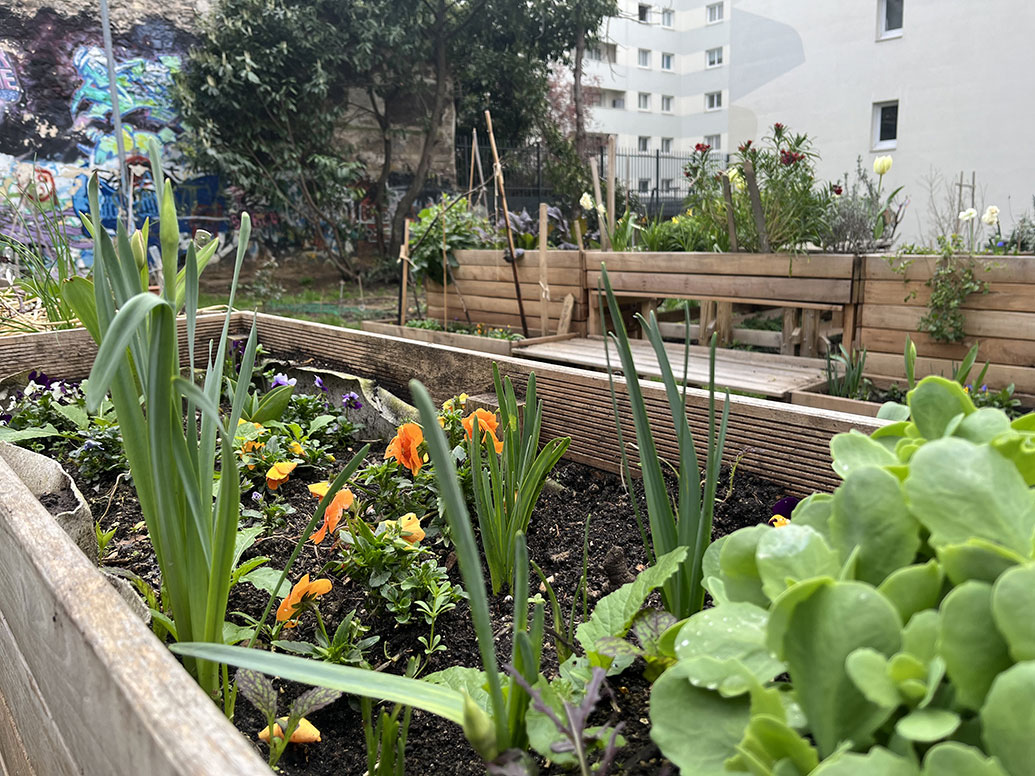 Un jardin partagé pour préserver le lien social et la nature en ville