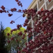 La régie au service des espaces verts !