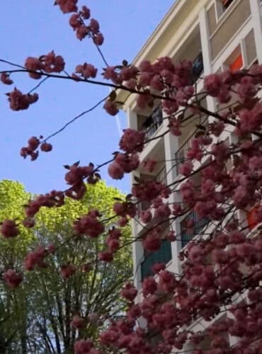 La régie au service des espaces verts !