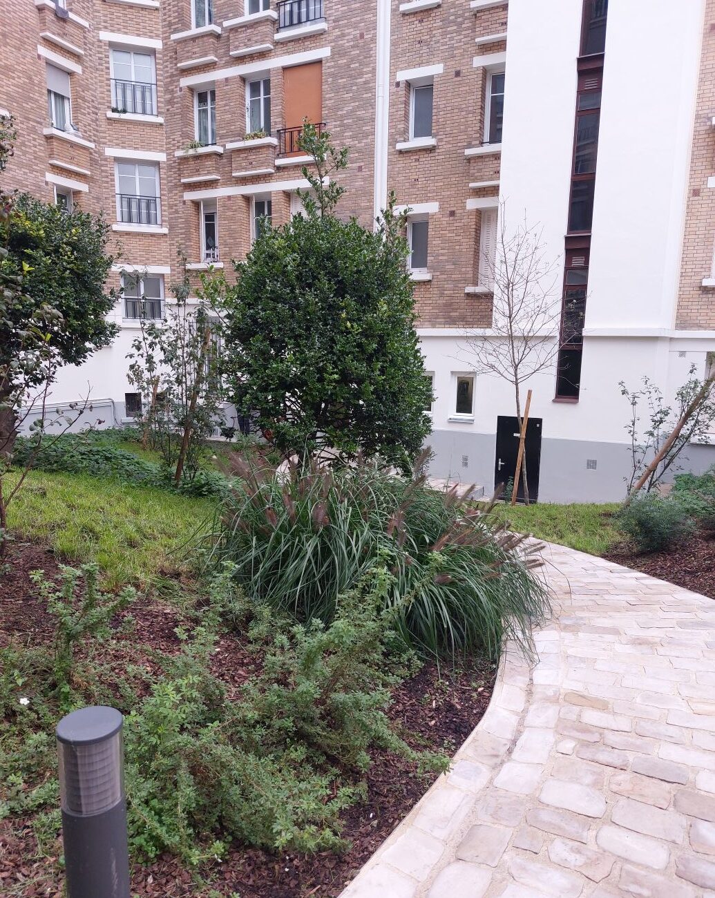 photo jardin mag12